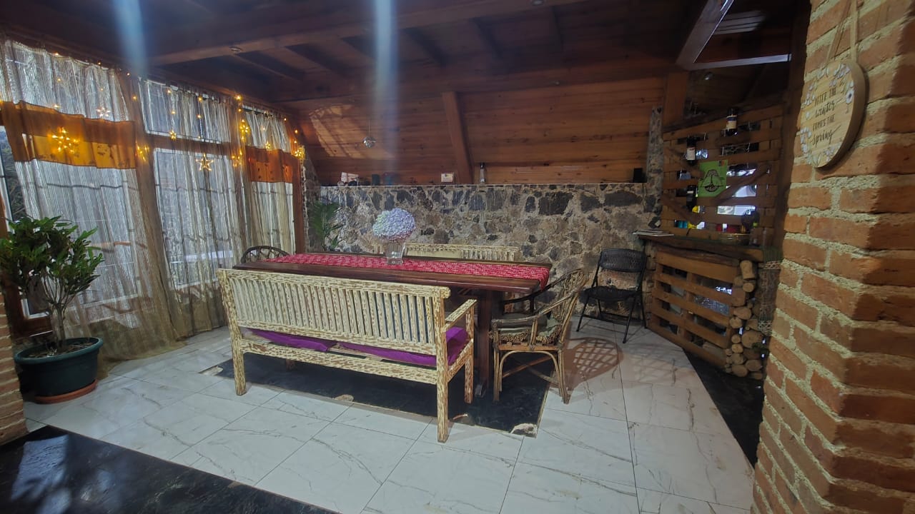 Salón con piedra